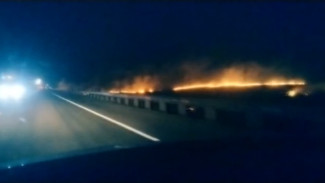 Под Воронежем сняли на видео ландшафтный пожар