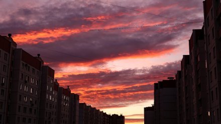 Воронежцы поделились в соцсетях снимками восхитительного осеннего заката