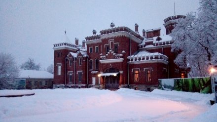 Во Дворце Ольденьбургских под Воронежем на каникулах бесплатно покажут мультфильмы