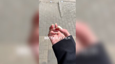 Разбитый айфон и вырванные ногти. Мужчина напал на девушку на воронежском «Винзаводе»