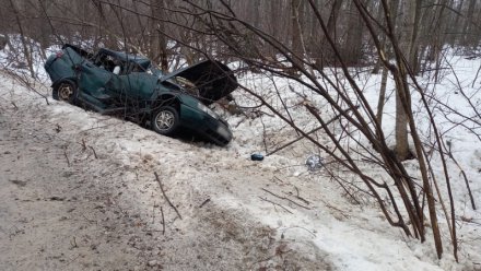 Возле Воронежского заповедника разбился насмерть 37-летний автомобилист