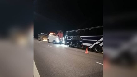 Автобус с десятками пассажиров застрял на трассе в Воронежской области