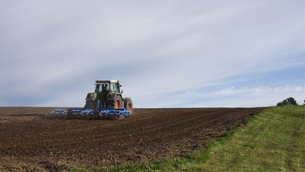 Воронежские предприятия ГК «Продимекс» убрали около трети посевов озимой пшеницы 