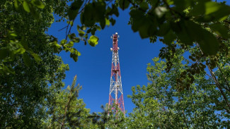 МегаФон определил интернет-активных жителей Воронежской области 