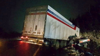 В ДТП с грузовиком в Воронежской области погибли два человека 