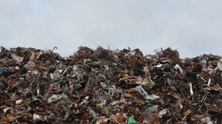 В Воронежской области появятся три новых мусоросортировочных комплекса