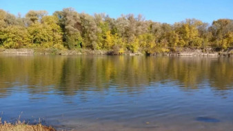 Воронежец погиб во время подводной охоты на реке Дон