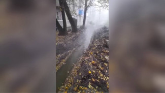 В Воронеже подвал жилого дома затопило фекалиями