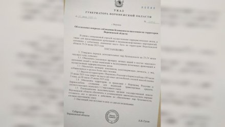 Воронежцам прислали фейк об усилении мер безопасности в связи с терактом