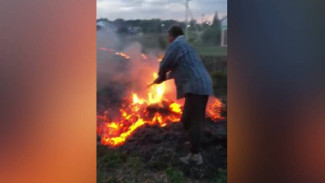 МЧС с поличным поймало воронежца при разведении 7 костров: появилось видео