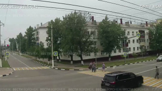 Депутат ответит в суде за смертельную аварию с пенсионеркой в Лисках