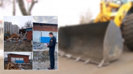 В Воронеже бизнесвумен снесла автомастерскую ради поездок за границу