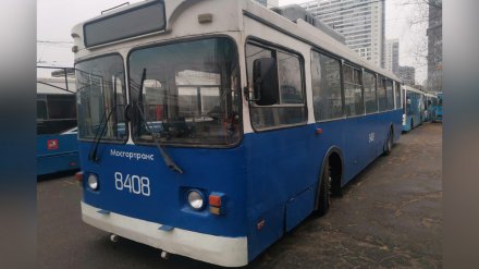 Общественники показали подаренные Воронежу старые московские троллейбусы