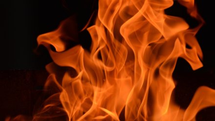 В Воронежской области на пожаре погибли двое детей