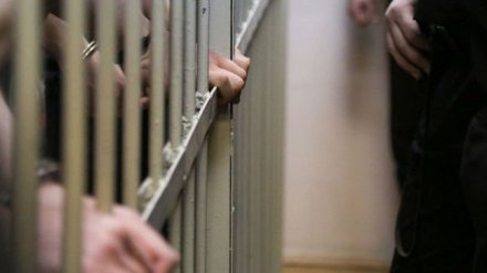 Раздевшийся перед девочкой замдиректора воронежского шапито получил суровый срок