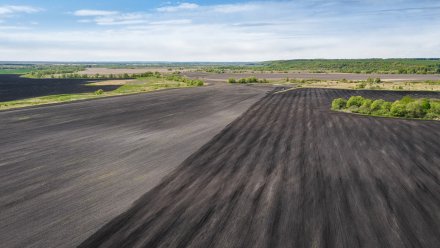 В Воронежской области на предприятиях «Продимекс» стартовала весенняя посевная кампания