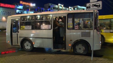 Воронежцам предложат отказаться от такси по вечерам в пользу маршруток