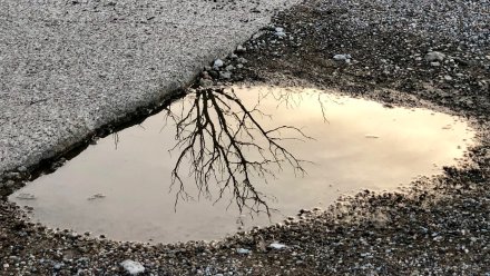В Воронеже студентка упала в лужу и разбила голову