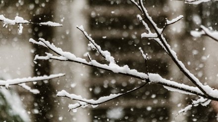 Синоптики рассказали, дойдёт ли до Воронежа самый мощный за 73 года снегопад