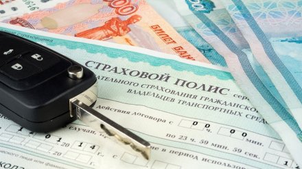В Воронежской области подкупивших гаишников водителей осудили за махинации со страховками