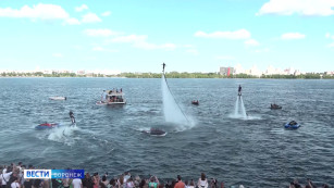 Итоги-2025. Полёты над водой, приезд альпак и борьба с самокатчиками