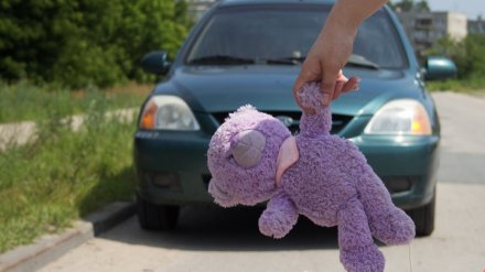 В Воронеже с начала года случилось более 30 ДТП с участием детей