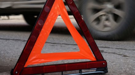 В Воронежской области два человека пострадали в ДТП с элитным кроссовером