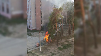 В Воронеже произошёл пожар возле детской площадки