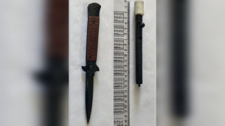 Мужчину с ножом и сигнальной ракетой задержали у входа в воронежский суд