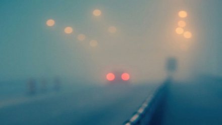 В Воронеже возвращавшиеся со смены полицейские насмерть сбили человека и скрылись
