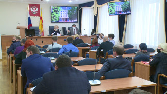 Бюджет Воронежа на 2021 год обсудили на публичных слушаниях