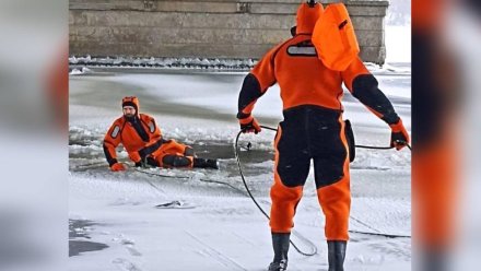 Воронежец на снегоходе провалился под лёд под опорой Вогрэсовского моста