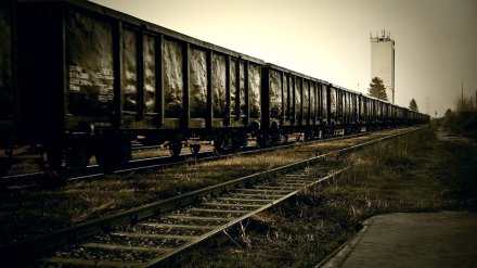 Грузовой поезд сбил мужчину в Воронежской области