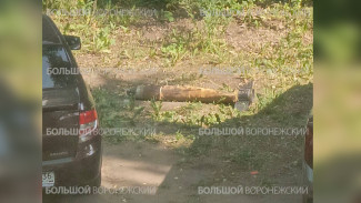 Двор в Воронеже оцепили из-за найденного боеприпаса