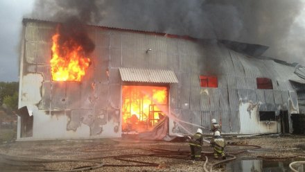200 тонн сена сгорели при пожаре в воронежском селе