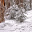 Синоптики спрогнозировали сильный снегопад в Воронежской области