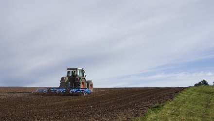 На поддержку воронежских аграриев в 2022 году выделят 7,5 млрд рублей