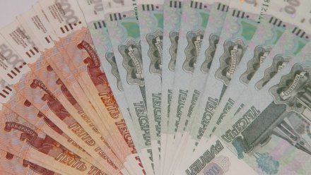 Средняя зарплата воронежцев за год выросла на 19%