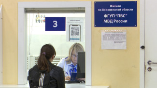 В Воронежской области более 300 беженцев подали заявления на получение гражданства РФ