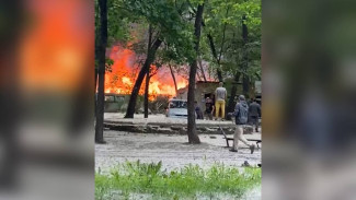 В Воронеже во дворе жилого дома вспыхнули сараи: появилось видео