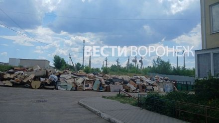 ГЖИ начала проверку после жалоб на заваленную мебелью и деревьями улицу под Воронежем
