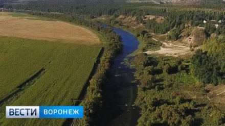 Спасённое от осушения озеро Круглое под Воронежем получило статус памятник природы