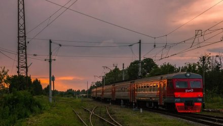 Расписание девяти пригородных электричек временно изменится в Воронежской области