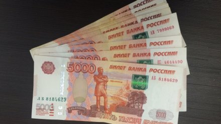 В Воронеже попавшуюся на взятке директора предприятия оштрафовали на 2,3 млн