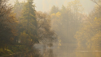 Жёлтый уровень погодной опасности вновь продлили в Воронежской области