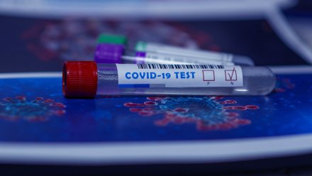 В Воронежской области провели более 400 тыс. тестов на коронавирус