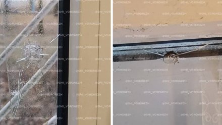 Воронежцы забили тревогу из-за стрельбы в Советском районе