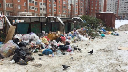 Тариф на вывоз мусора в Воронежской области предложили снизить на треть