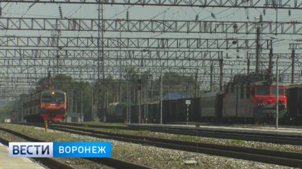 В Воронеже 13-летний мальчик сгорел заживо, катаясь на крыше поезда