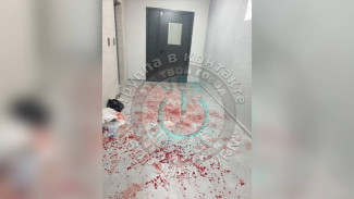 Воронежцы показали на фото залитый кровью подъезд